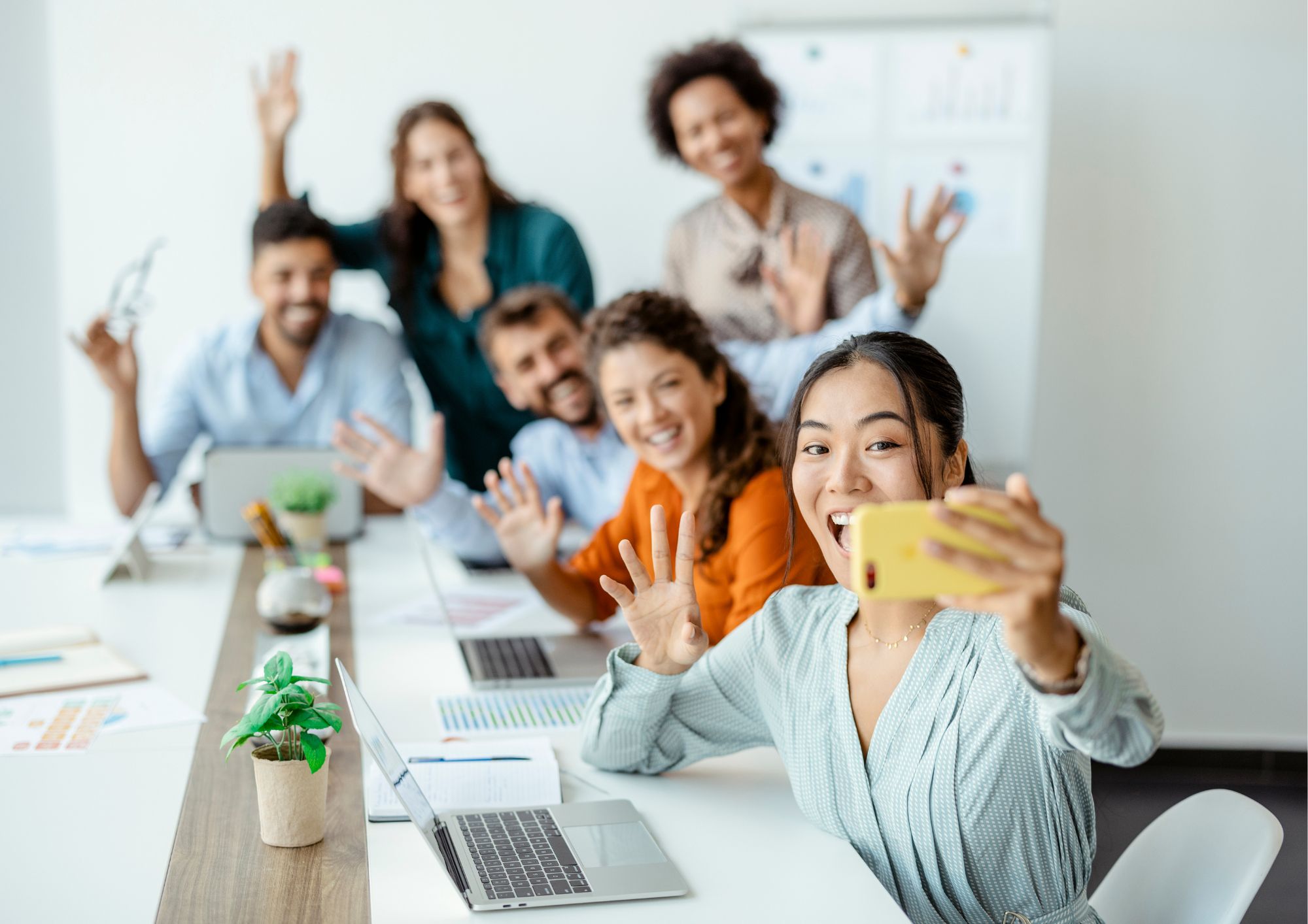 organic traffic growth case study